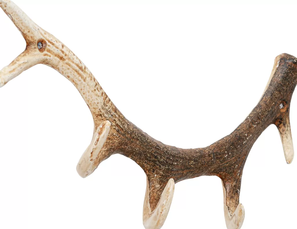 Seinänaulakot>KARE Design Antler Nature Sarvet Seinänaulakko 35cm