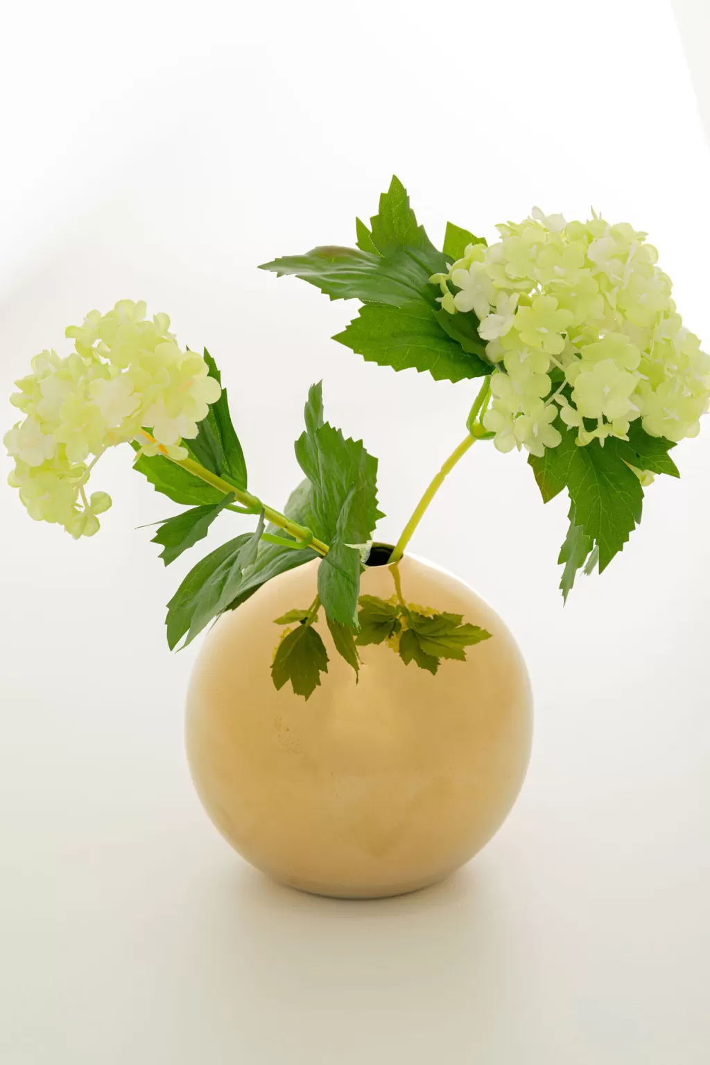 Olohuone>KARE Design Goldy Maljakko 11cm