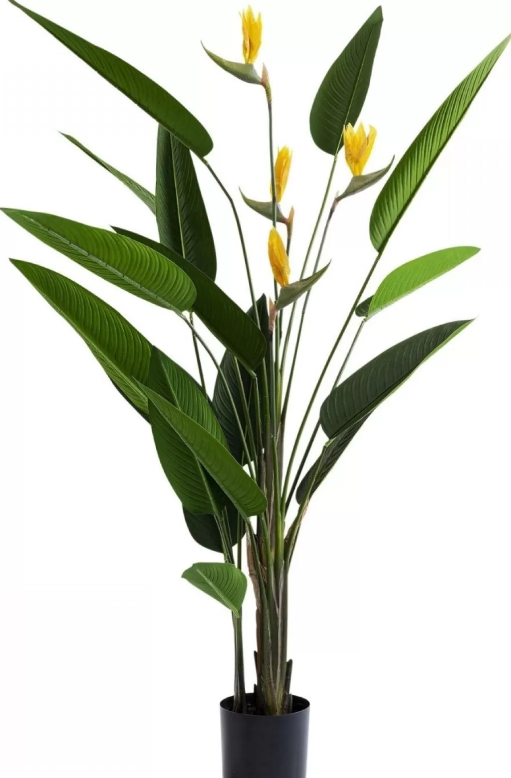 Tekokasvit>KARE Design Paradise Flowers Tekokasvi 190cm