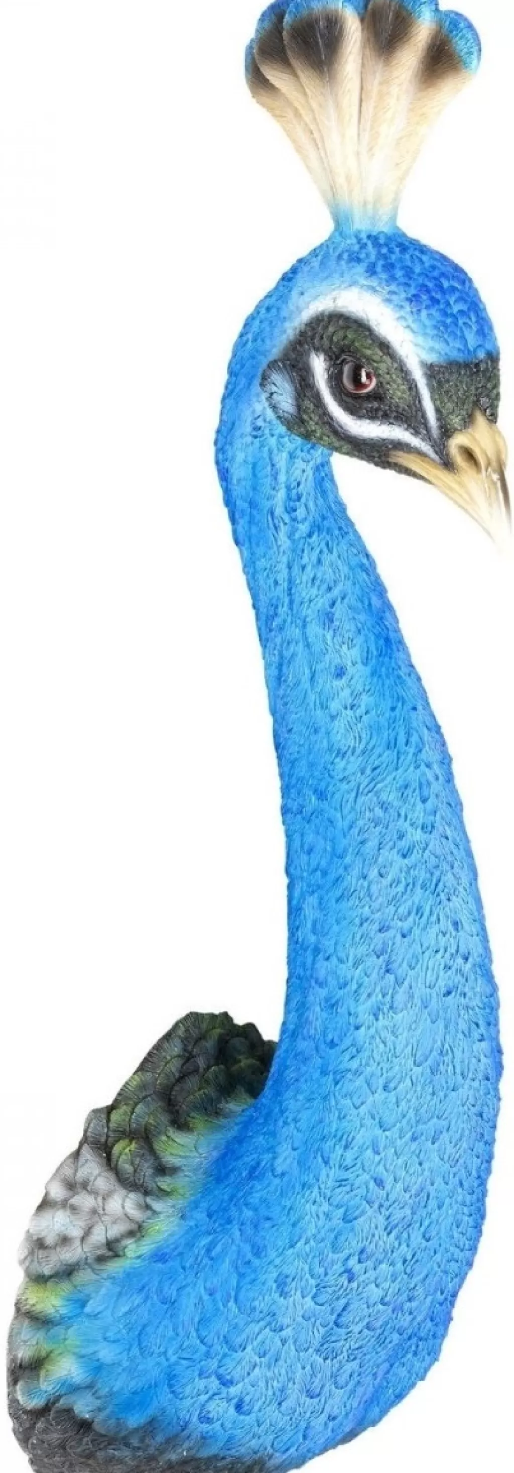 Seinäkoristeet>KARE Design Peacock Riikinkukko Seinäkoriste