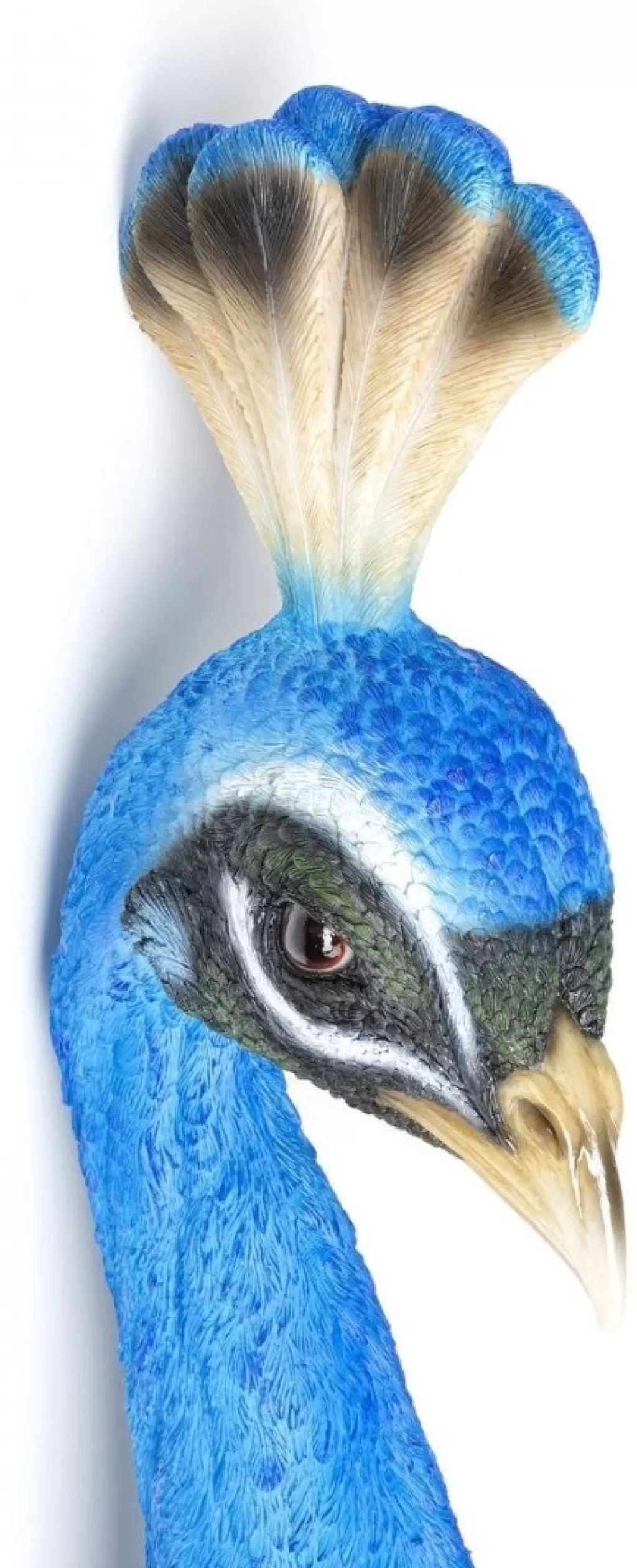 Seinäkoristeet>KARE Design Peacock Riikinkukko Seinäkoriste