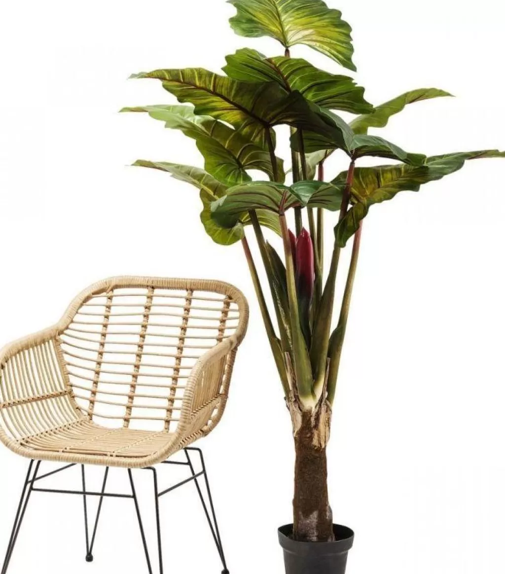 Tekokasvit>KARE Design Rainforest Green Tekokasvi 160cm