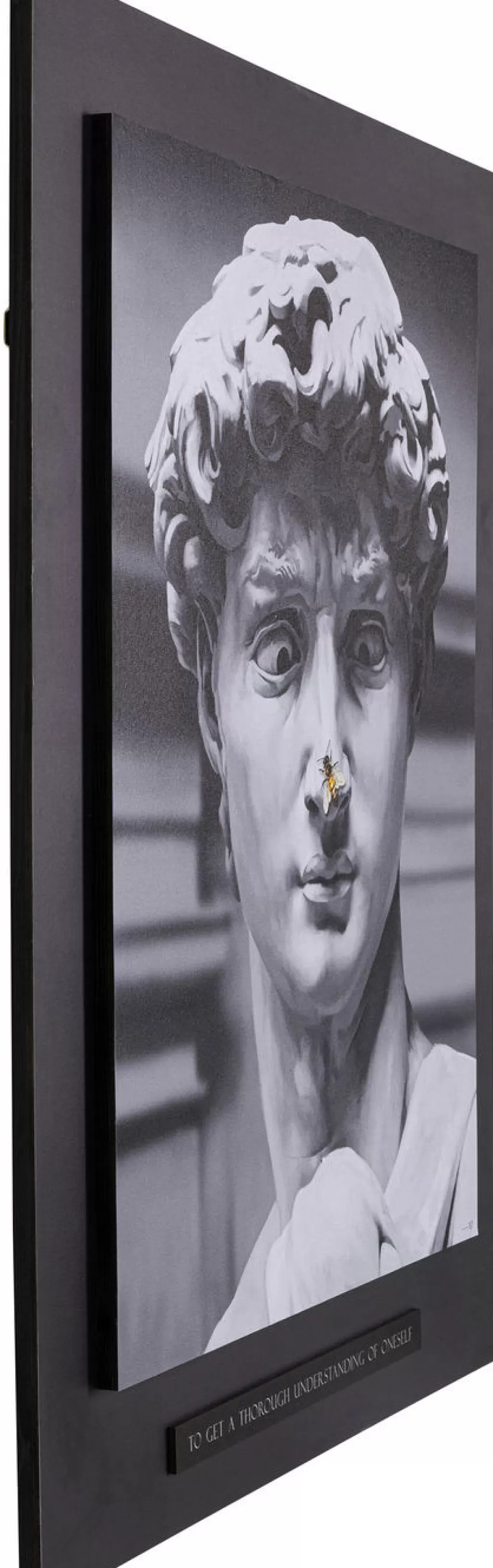 Taulut>KARE Design Statue Kehystetty Taulu 100x125cm