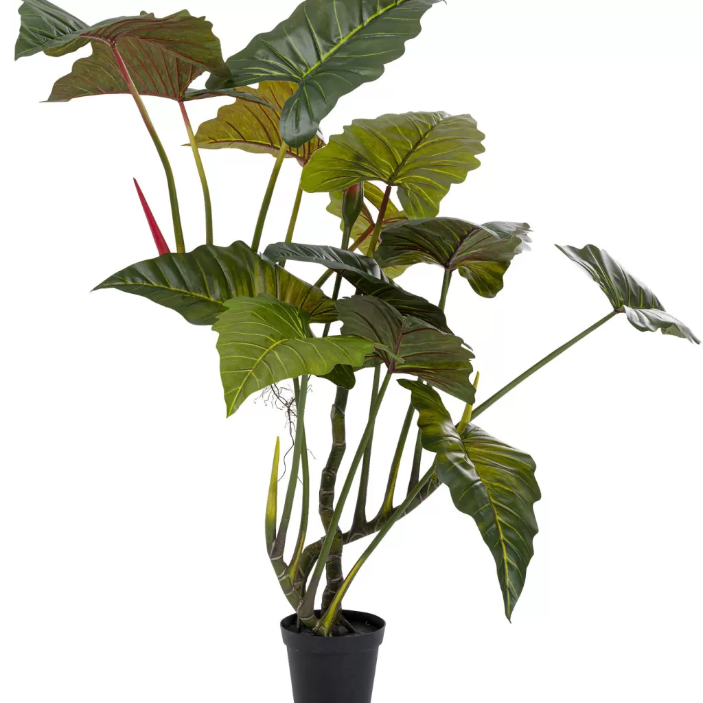 Tekokasvit>KARE Design Taro Tekokasvi 180cm