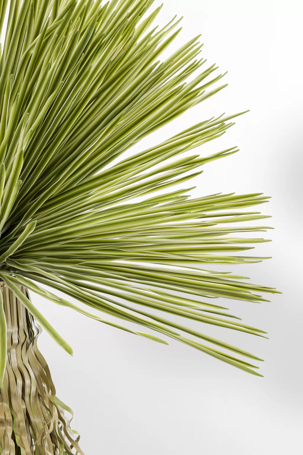 Tekokasvit>KARE Design Yucca Tekokasvi 180cm